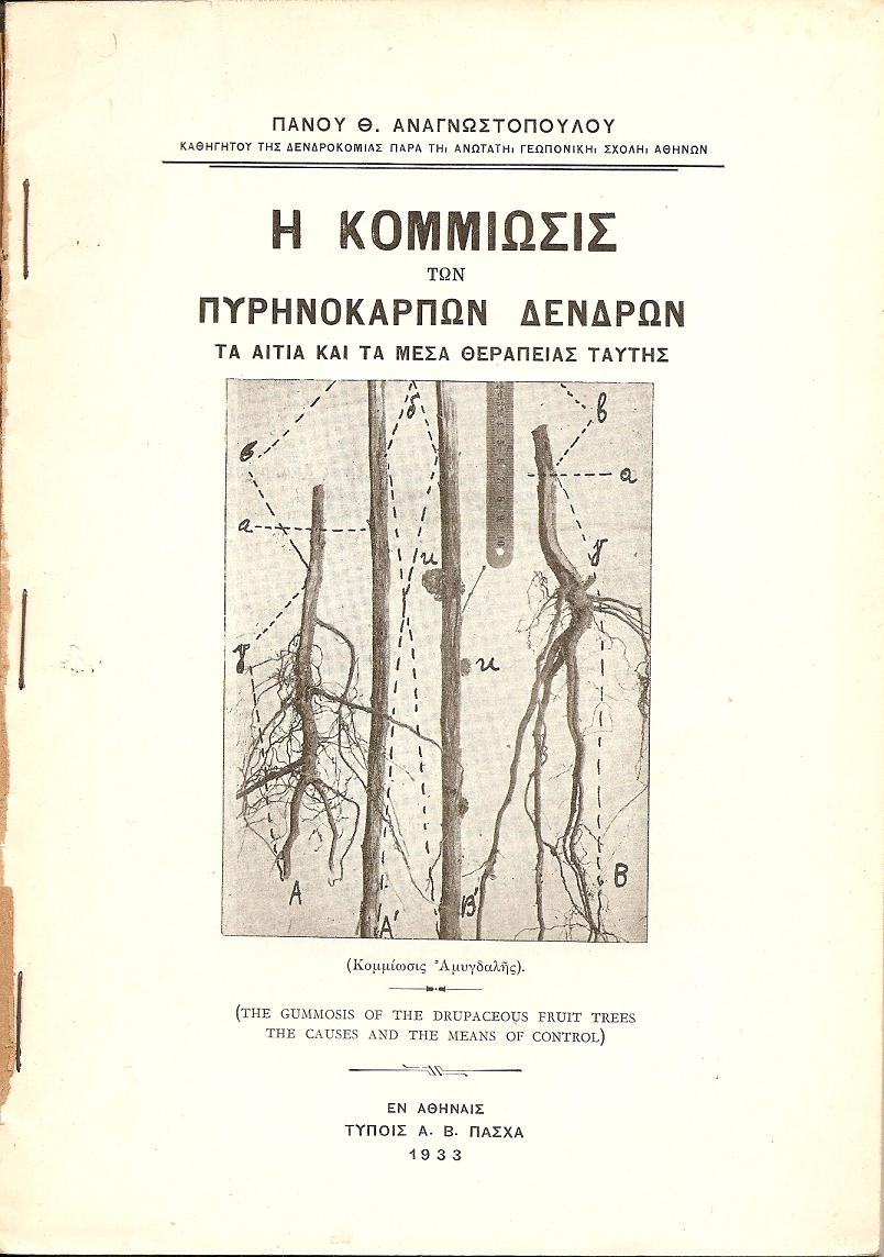 Η κομμίωσις των πυρηνοκάρπων δένδρων. Τα αίτια και τα μέσα θεραπείας ταύτης