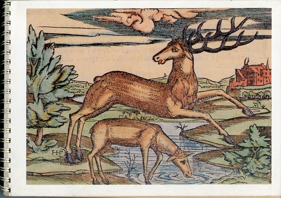 Lykion Ton Hellinidon London, Diary 1988, Engraving of Cyprus.