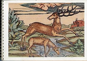 Lykion Ton Hellinidon London, Diary 1988, Engraving of Cyprus. Lykion Ton Hellinidon London, Diary 1988, Engraving of Cyprus.